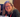 Meet the Council - Liz Madden