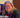 Meet the Council - Liz Madden
